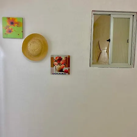 Casa Em Milagres Aconchegante E Com Garagem. Villa Sao Miguel dos Milagres Exterior photo